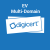 DigiCert EV Multi-Domain SSL